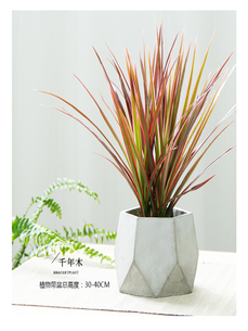 宁波鄞州绿化养护价格实惠